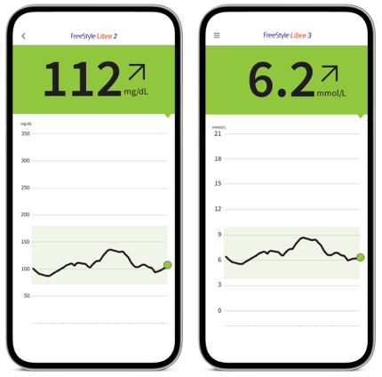 Freestyle Libre 2 Sensor