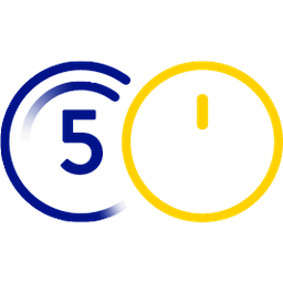 Icon Sensorgröße